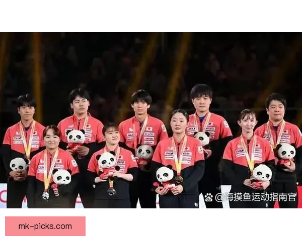 世界杯竞猜赛事直播火热开启球迷互动实时比分与精彩赛况全程追踪